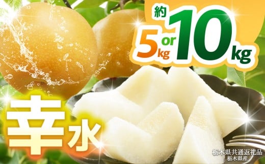 [栃木県共通返礼品][2025年先行予約][選べるグラム数]幸水 約5kg 10kg | 梨 なし ナシ 新品種 先行予約 大粒 新鮮 甘い 美味しい 果物 くだもの フルーツ ふるーつ 共通返礼品 フルーツ デザート 栃木県 那珂川町