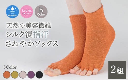 【ブラック】天然の美容繊維 シルク指汗さわやかソックス 2組 フリーサイズ H-SO1203X2