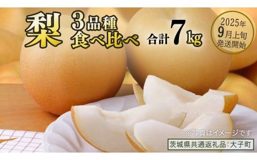 【食べ比べ】 梨 3品種 合計 約7kg 【2025年9月上旬発送開始】(茨城県共通返礼品：大子町) なし 果物 くだもの フルーツ おまかせ 旬