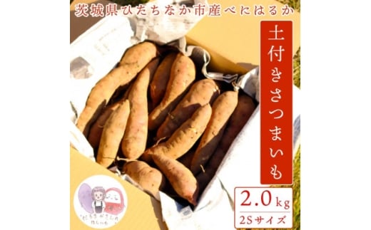 ＜先行受付＞11月下旬より発送!茨城県 ひたちなか産 さつまいも 紅はるか 箱込2kg＜訳あり＞【1631624】