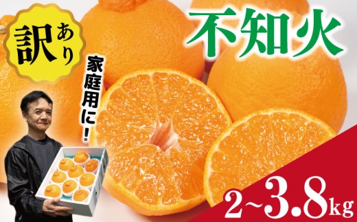 訳あり 不知火 2kg 3.8kg しらぬい みかん 蜜柑 果物 フルーツ 柑橘 オレンジ ゼリー ジュース アイス ケーキ デザート スイーツ ジャム 糖度 甘い 不揃い ご家庭用 規格外 ビタミン 美容 健康 送料無料 徳島県 阿波市 サトウ農園