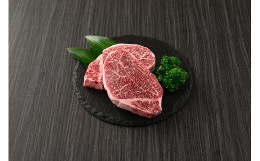 飛騨牛 ヒレ 170g ×3枚｜牛肉 和牛 国産 瑞穂市 岐阜県 ※離島への配送不可