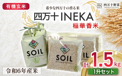 【有機玄米】希少な四万十の香る米 1升（1.5kg）セット 四万十INEKA（稲華香米） ／Fsg-05 小分け 便利 ブランド米 お米 米 香米 香る米 玄米 旧米 令和6年度産米 高知県 四万十町