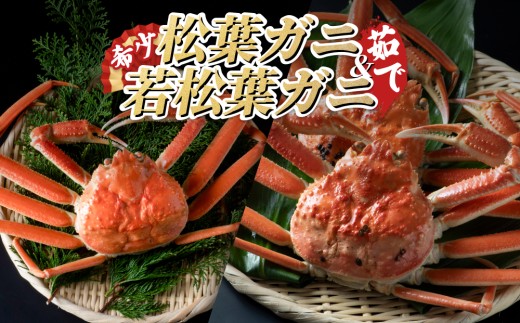 【22009-1】松葉がに＆若松葉がにセット（ボイル） 583040 - 鳥取県岩美町