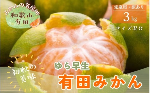 【初秋の美味】【10月~発送】有田育ちのご家庭用訳ありゆら早生有田みかん 3kg【サイズ混合】【ard236】 2192341 - 和歌山県串本町