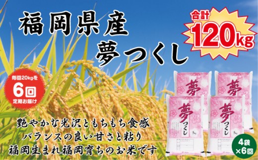 【定期便全6回】【令和7年産新米予約】【食味鑑定士厳選】福岡県産 夢つくし20kg (5kg×4袋) 合計 120kg 2192291 - 福岡県大川市