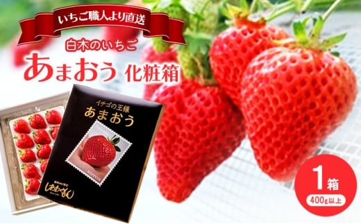 いちご 1月配送 しあわせもん あまおう 化粧箱 1箱 いちご職人 白木のいちご イチゴ 苺 果物 デザート ※配送不可：沖縄・離島
