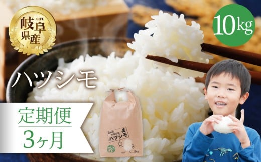 [ 3回 定期便 ] ハツシモ 10kg × 3か月 米 こめ ごはん 白米 岐阜県産 本巣市 お米 精米 おにぎり 弁当 さっぱり 旨味 甘い 和食 寿司 岐阜県産 ヤマダライス