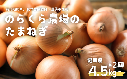 栄養価コンテスト受賞歴多数!定期便2カ月 のらくら農場のこだわり玉ねぎ 9kg(4.5kg×2カ月)[NK-T509]