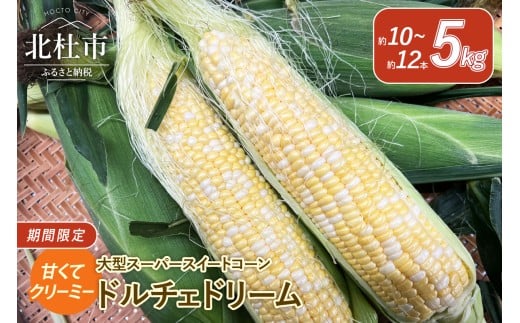 【2025年先行予約】今が旬！茅ヶ岳高原 クリーミー 大型 スーパースイートコーン《ドルチェドリーム》  期間限定 数量限定 とうもろこし ドルチェドリーム 5kg 約10本～12本 スイートコーン  夏野菜 