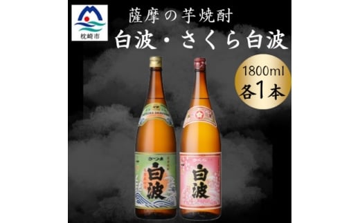 さつま白波&さくら白波1800ml 各1本セット A6-162【1644098】 2190713 - 鹿児島県枕崎市