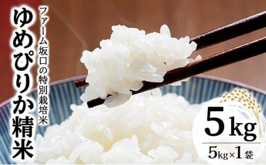 令和6年産!ファーム坂口の特別栽培米 ゆめぴりか精米 5kg
