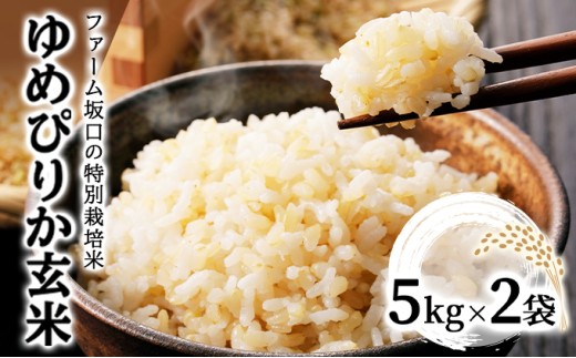 令和7年産!ファーム坂口の特別栽培米 ゆめぴりか玄米 10kg (5kg×2袋) 1720497 - 北海道岩見沢市