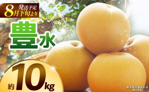 【栃木県共通返礼品】【2025年8月先行予約】豊水 約10kg |豊水 梨 なし ナシ 新品種 先行予約 大粒 新鮮 甘い 美味しい 果物 くだもの フルーツ ふるーつ 共通返礼品 フルーツ デザート 栃木県 那珂川町