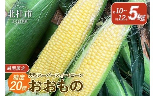 今が旬！茅ヶ岳高原 糖度20度 大型スーパースイートコーン《おおもの》 期間限定 数量限定 とうもろこし おおもの 5kg 約10本～12本 スーパースイートコーン  夏野菜 