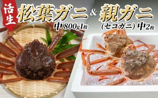 【22008-2】松葉がに＆親がにセット（生） 583042 - 鳥取県岩美町