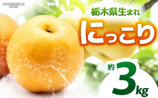 【栃木県共通返礼品】【2025年先行予約】にっこり 約3kg |にっこり 梨 なし ナシ 新品種 先行予約 大粒 新鮮 甘い 美味しい 果物 くだもの フルーツ ふるーつ 共通返礼品 フルーツ デザート 栃木県 那珂川町