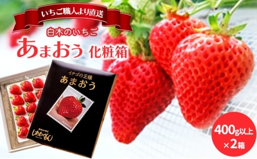 いちご 1月配送 しあわせもん あまおう 化粧箱 2箱 いちご職人 白木のいちご イチゴ 苺 果物 デザート ※配送不可：沖縄・離島