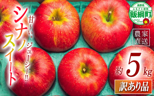 りんご シナノスイート 訳あり 5kg 原山農園 沖縄県への配送不可 2025年10月中旬頃から2025年11月上旬頃まで順次発送予定 令和7年度収穫分 信州 果物 フルーツ リンゴ 林檎 長野 予約 農家直送 長野県 飯綱町 [2024]