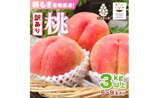 ＜訳あり品＞ご家庭桃・朝もぎ産地直送・3kg以上【1178167】