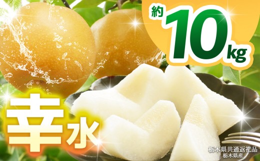 【栃木県共通返礼品】【2025年先行予約】幸水 約10kg  | 梨 なし ナシ 新品種 先行予約 大粒 新鮮 甘い 美味しい 果物 くだもの フルーツ ふるーつ 共通返礼品 フルーツ デザート 栃木県 那珂川町 2191293 - 栃木県那珂川町