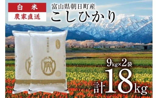 【期間限定発送】 米 令和7年産 こしひかり 精米 計18kg 9kg 2袋 [クリーンみず穂 富山県 朝日町 34310541] お米 コシヒカリ コメ 18キロ ご飯 ごはん 白米 産地直送 一等米 おこめ こめ