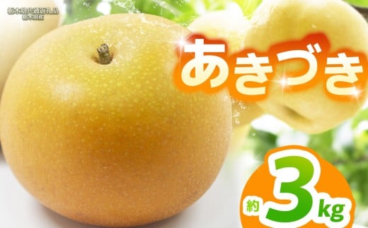 【栃木県共通返礼品】【2025年先行予約】あきづき 約3kg |あきづき 梨 なし ナシ 新品種 先行予約 大粒 新鮮 甘い 美味しい 果物 くだもの フルーツ ふるーつ 共通返礼品 フルーツ デザート 栃木県 那珂川町