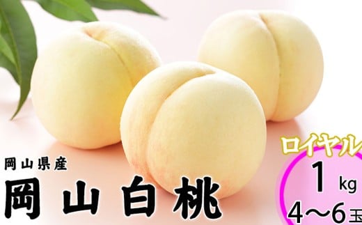 岡山白桃 ロイヤル 4～6玉 約1kg 岡山県産 【2025年7月上旬～8月下旬迄発送予定】 ／ 白桃 桃 もも 果物 果実 フルーツ 岡山県 美咲町 冷蔵