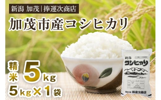 加茂市産コシヒカリ 精米 5kg こしひかり 新潟米 お米 白米 ライス ご飯 加茂市 捧運次商店