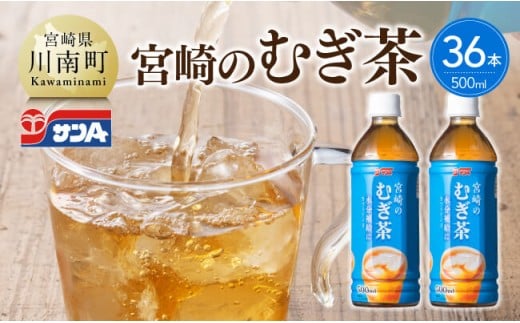 サンA宮崎のむぎ茶　500ml PET×18本×2ケース 【 お茶 麦茶 宮崎県産 ペットボトル 】