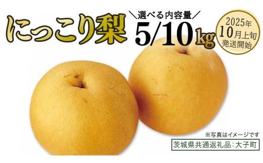 [ 選べる 内容量 ]にっこり梨 約5kg / 約10kg [2025年10月上旬発送開始](茨城県共通返礼品:大子町) 梨 なし 果物 くだもの フルーツ にっこり