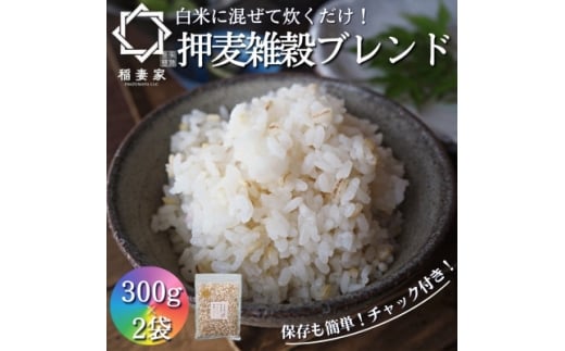 ＜白米に混ぜて簡単!＞国産 押し麦ブレンド600g(300g×2袋入り)【1632803】 2185585 - 大阪府豊能町