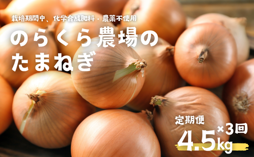 栄養価コンテスト受賞歴多数!のらくら農場のこだわり玉ねぎ 定期便3カ月 約13.5kg(4.5kg×3カ月)[NK-T510]