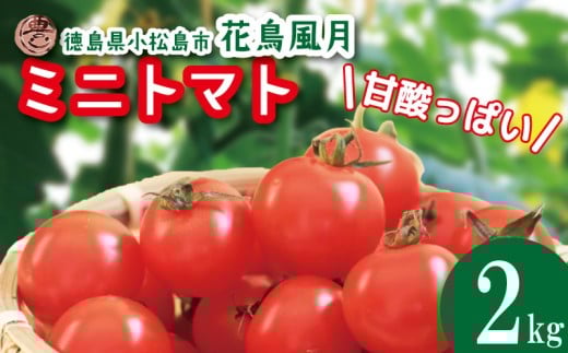 [2025年12月発送] ミニトマト 2kg 花鳥風月 先行予約 水耕栽培 爽やか 甘い 野菜 やさい 国産 産地直送 数量限定 旬 フレッシュトマト 生野菜 新鮮 ソース 調味料 ケチャップ サラダ 美容 新鮮 健康 お取り寄せ グルメ おすすめ 人気 徳島県 小松島市