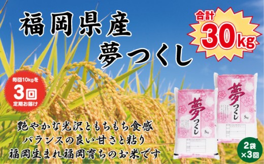 【定期便全3回】【令和7年産新米予約】【食味鑑定士厳選】福岡県産 夢つくし10kg (5kg×2袋) 合計 30kg 2192284 - 福岡県大川市