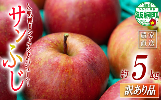 りんご サンふじ 訳あり 5kg 原山農園 沖縄県への配送不可 2025年12月中旬頃から2026年2月上旬頃まで順次発送予定 令和7年度収穫分 傷 不揃い リンゴ 林檎 果物 フルーツ 信州 長野 予約 農家直送 長野県 飯綱町 [2025]