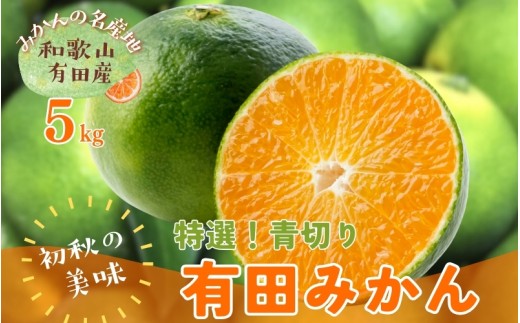 【先行予約】【2025年9月中旬～10月中旬頃発送予定】【初秋の美味】【農家直送】特選!青切り有田みかん　5kg　【ard044C】 765416 - 和歌山県古座川町