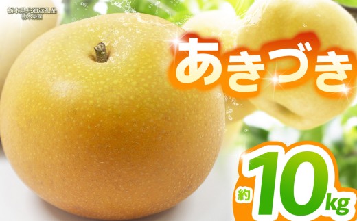 【栃木県共通返礼品】【2025年先行予約】あきづき 約10kg |あきづき 梨 なし ナシ 新品種 先行予約 大粒 新鮮 甘い 美味しい 果物 くだもの フルーツ ふるーつ 共通返礼品 フルーツ デザート 栃木県 那珂川町
