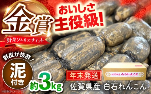 【先行予約】【年末発送】【金賞受賞！】松尾青果のこだわり白石れんこん 約3kg【松尾青果】 [IBD019] 2088566 - 佐賀県白石町