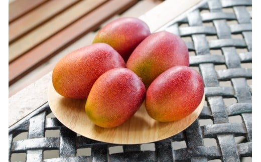 【ご家庭用】いぶすき産マンゴー約1.7kg(トロピカルファーム山川/022-1756) マンゴー フルーツ 果物 旬 夏 指宿 いぶすき 鹿児島 完熟 南国 南国フルーツ 果実 マンゴー 太陽 国産 鹿児島県産 果汁 規格外 363148 - 鹿児島県指宿市
