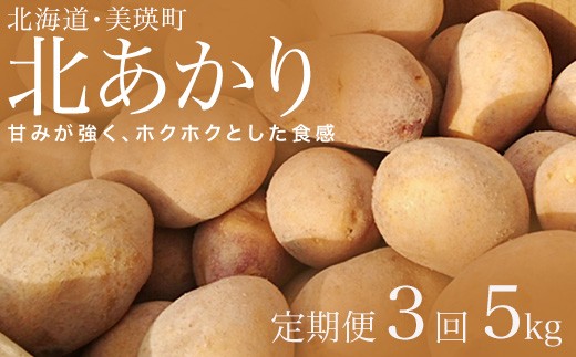 【先行予約】じゃがいも 5kg 定期便 3ヶ月北あかり<令和7年産 >松本農場   | 北あかり きたあかり キタアカリ 秋野菜 5kg 人気 おすすめ ランキング いも 芋 イモ じゃがいも ジャガイモ 野菜 3か月 3回便 3回[021-30]