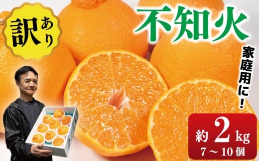 訳あり 不知火 約2kg 7〜10個入り しらぬい みかん 蜜柑 果物 フルーツ 柑橘 オレンジ ゼリー ジュース アイス ケーキ デザート スイーツ ジャム 糖度 甘い 不揃い 規格外 ビタミン 美容 健康 送料無料 徳島県 阿波市 サトウ農園
