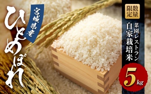 【令和6年産】数量限定 菜園レストラン「野の風」自家栽培米 ひとめぼれ5kg