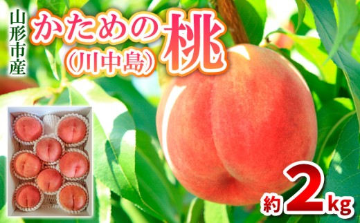 かための桃 秀 約2kg (6～9玉) [川中島] FY25-295