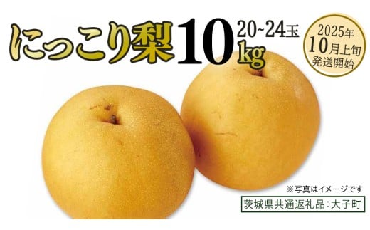 にっこり梨 約10kg (20～24玉)【2025年10月上旬発送開始】(茨城県共通返礼品：大子町) 梨 なし 果物 くだもの フルーツ にっこり