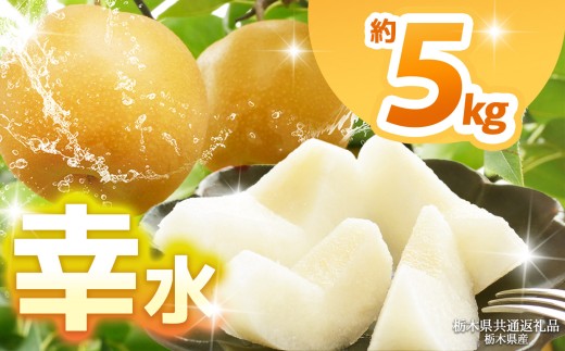 【栃木県共通返礼品】【2025年先行予約】幸水 約5kg  | 梨 なし ナシ 新品種 先行予約 大粒 新鮮 甘い 美味しい 果物 くだもの フルーツ ふるーつ 共通返礼品 フルーツ デザート 栃木県 那珂川町 2191292 - 栃木県那珂川町