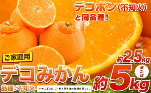 不知火 訳あり デコみかん 約2.5kg or 約 5kg 12～24玉前後《2026年2月上旬-4月末頃出荷》デコポン（不知火）と同品種 不知火 熊本県産 (長洲町産含む) 訳あり デコ 柑橘 みかん フルーツ 果物 旬 期間限定 ご家庭用