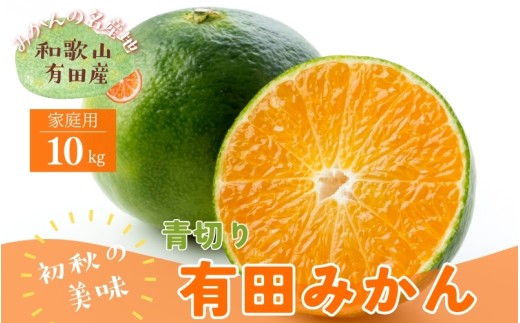 【先行予約】【2024年9月中旬～10月中旬頃発送予定】【初秋の美味】【農家直送】有田育ちのご家庭用青切り有田みかん　10kg　【ard046C】 765418 - 和歌山県古座川町