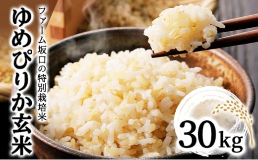 令和7年産！ファーム坂口の特別栽培米 ゆめぴりか玄米 30kg (30kg×1袋)