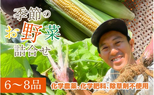 季節のお野菜6～8種セット | 野菜の詰め合わせ 野菜セット セット商品 旬 新鮮 産地直送 とうもろこし レタス キャベツ 人参 小松菜 ナス なす ジャガイモ じゃがいも トマト ズッキーニ ししとう 大根 白菜 里芋 さといも ニンニク にんにく 野沢菜 サツマイモ さつまいも 長ネギ 長ねぎ ブロッコリー チンゲン菜 きゅうり ピーマン 玉ねぎ ほうれん草 春野菜 夏野菜 秋野菜 冬野菜